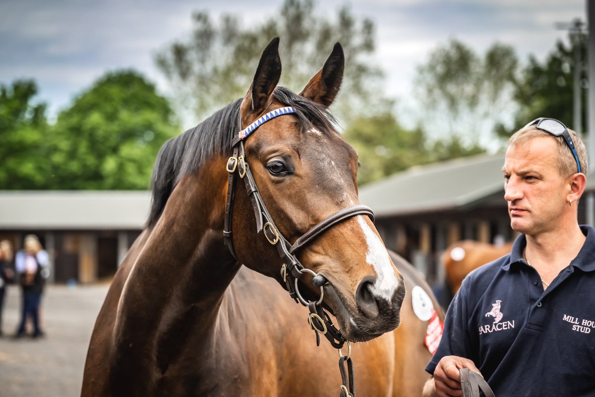Syndicates.Racing tweet media