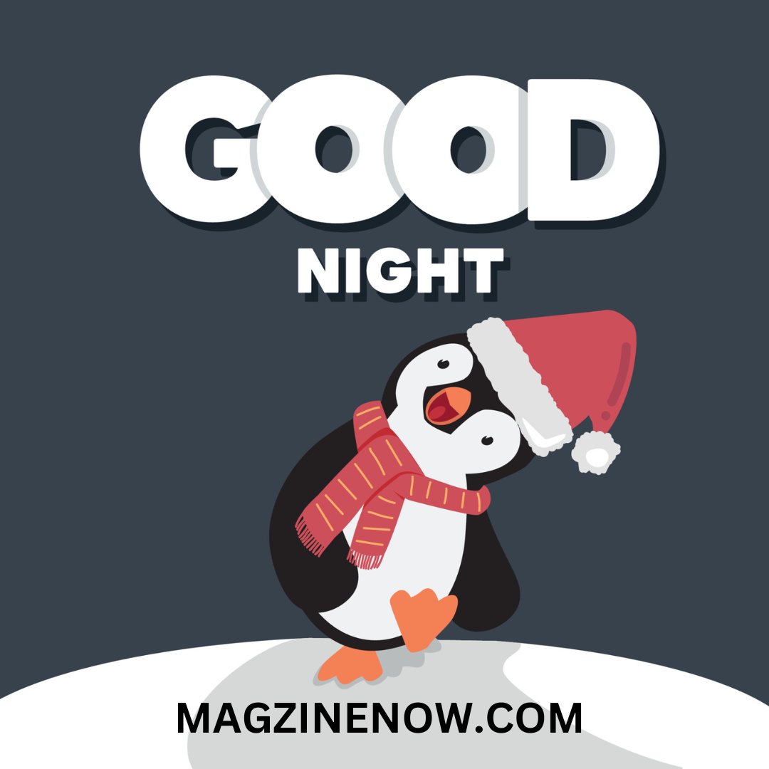 #magzinenow #goodnight #night #nightvibes #nightthoughts #niceday #summer #SunnyDayJack