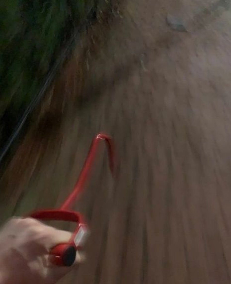 Subtle Insanity tweet media