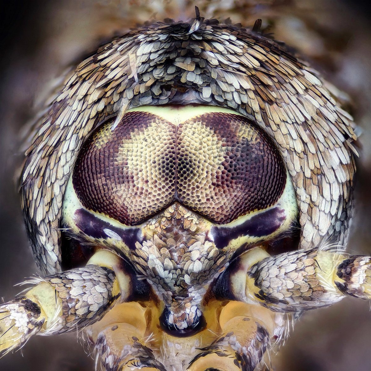 Thorben Danke tweet media