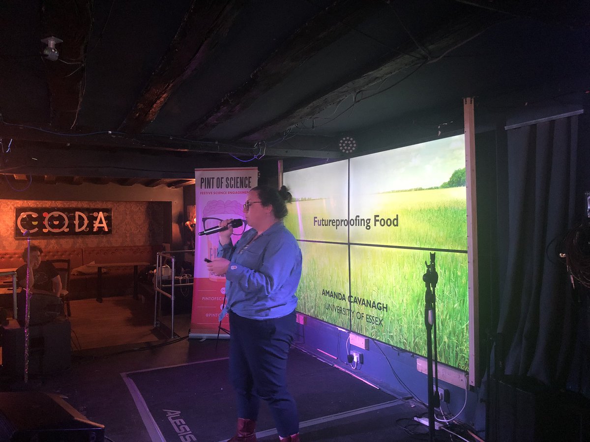 Katarina tweet media