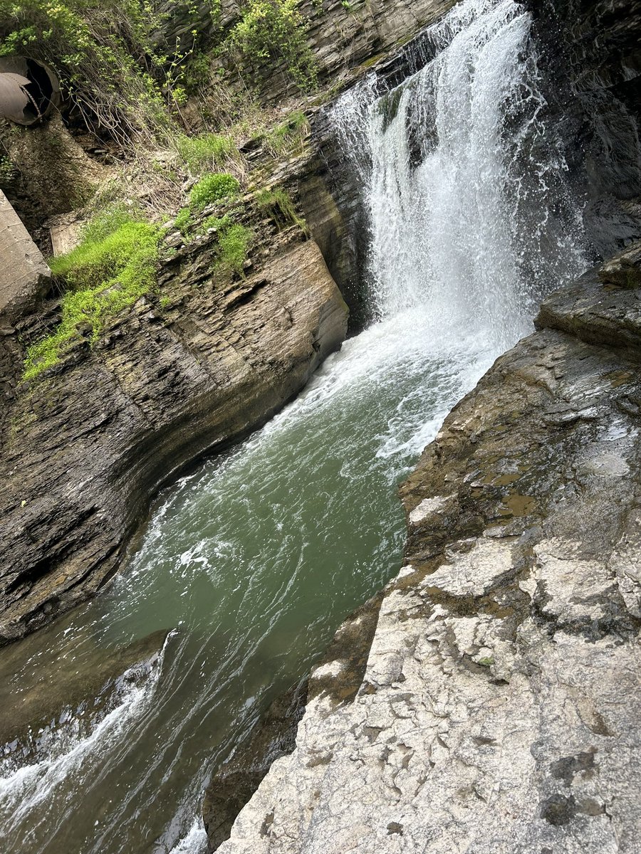 Connor Slamowitz tweet media