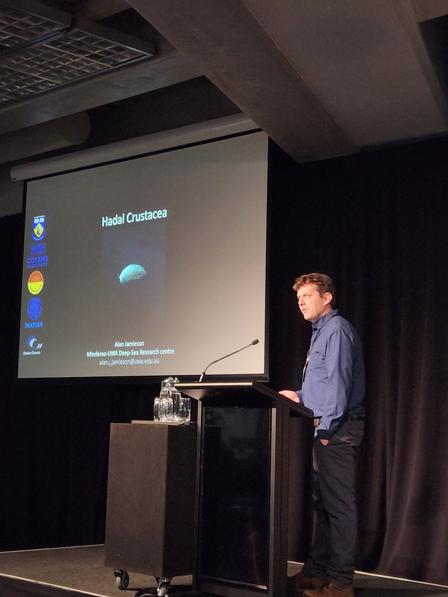 CrustaceanSoci's tweet photo. Super cool start to Day 3 of #ICC10 with Alan Jamieson @Hadalbloke, sharing about observations of hadal crustaceans along 16 trenches and adjoining abyssal plains, highlighting key species and inter-species interactions 🦐, including the supergiant amphipod Alicella gigantea https://t.co/evJyv2qURO