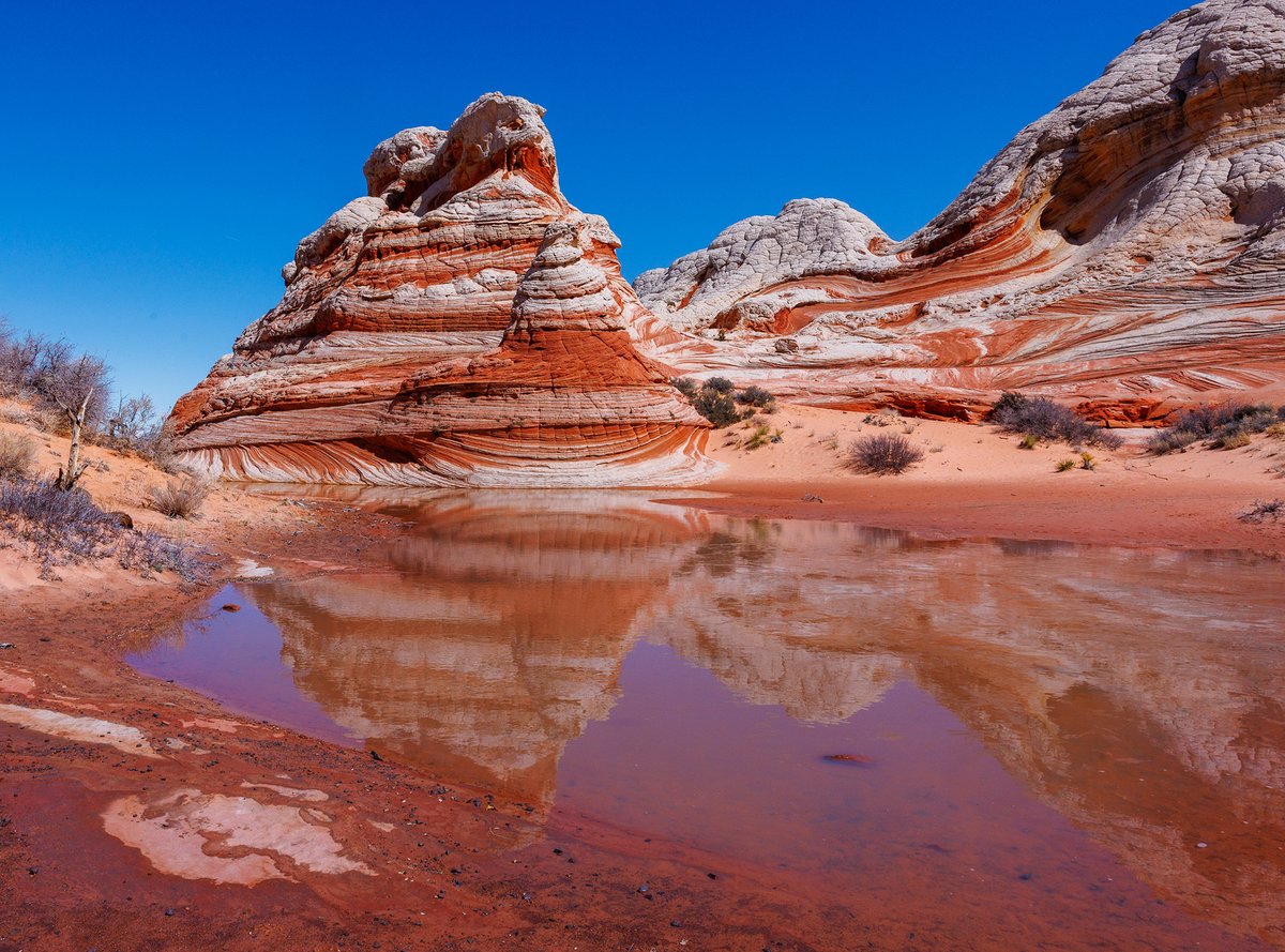 My newest notes, on Utah's #Kanab and the Vermilion Cliffs National Monument region in #Arizona notesfromtheroad.com/desertsouthwes…
