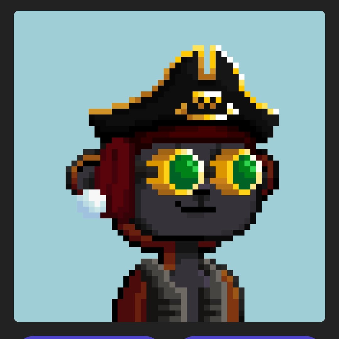 nohardhat's tweet image. @PrimPrimatesNFT 
Digging the hat