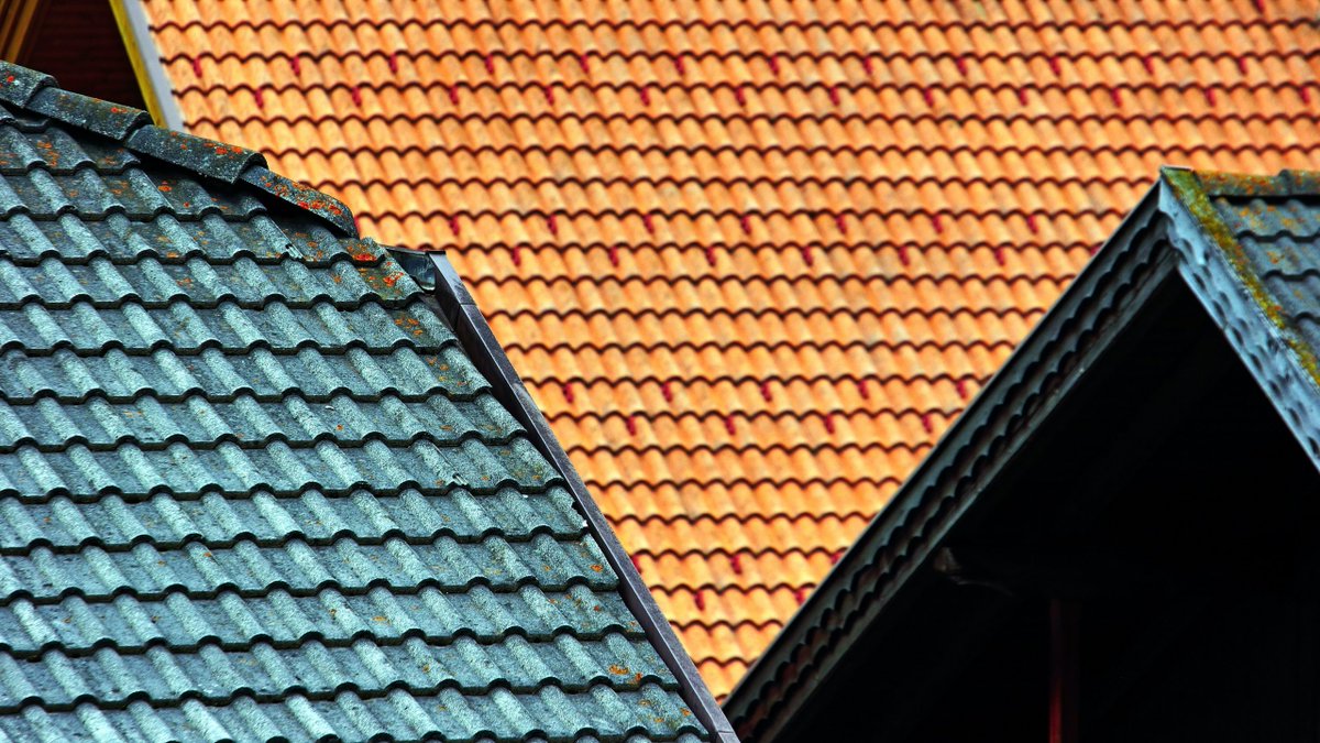 Roofing shingles are a popular choice for residential and commercial buildings alike due to their durability, longevity, and aesthetic appeal.

Read more...

blog.drytechroofingcompany.com/what-are-the-d…
