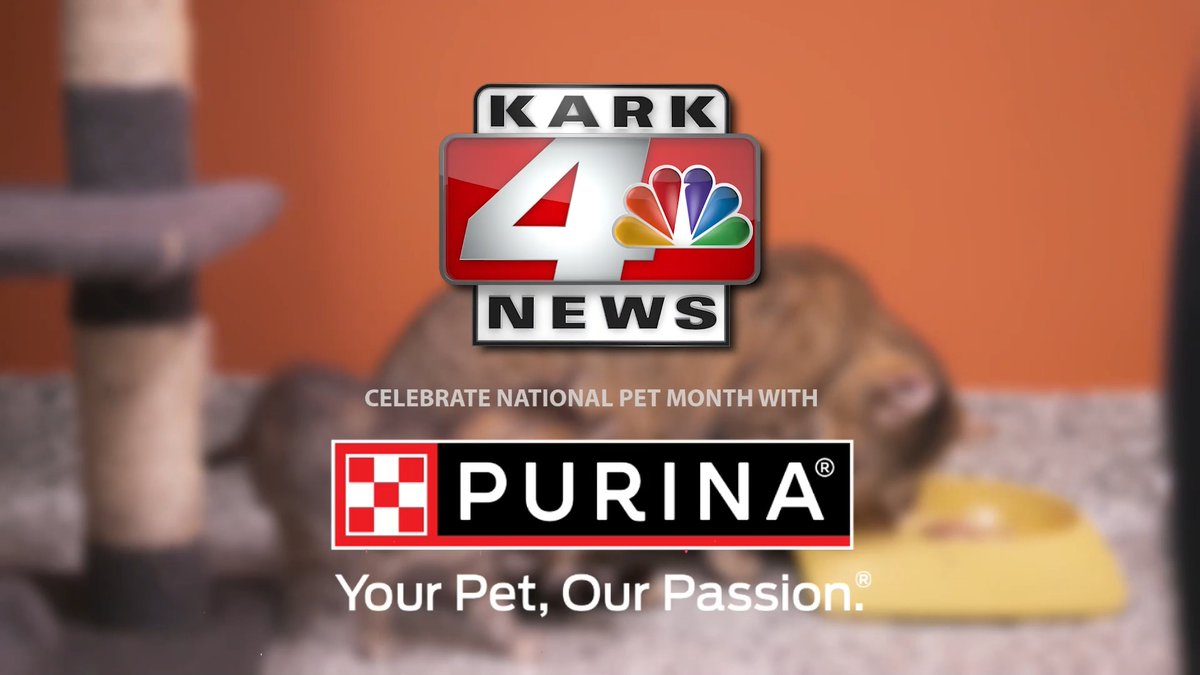 Show your furry friends the love they deserve this National Pet Month! Purina and KARK have teamed up with local shelters to make sure that every day of National Pet Month is special! https://t.co/6zSUE48EEV (Sponsored) https://t.co/jI3vx50Iqf