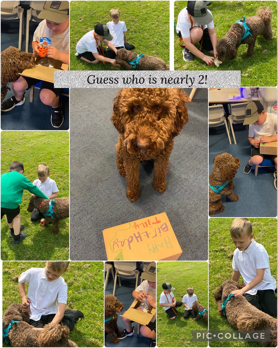 It’s my 2nd birthday tomorrow and I’ve already had some woofly presents from my friends. T🐾