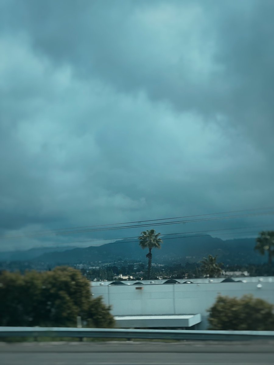 jays_stills's tweet photo. like the palm tree , stay strong in the storm

#vsco #vscofilter #photo #photograghy #photographer #photooftheday #art #landscape #travel https://t.co/DL0faGRBhg