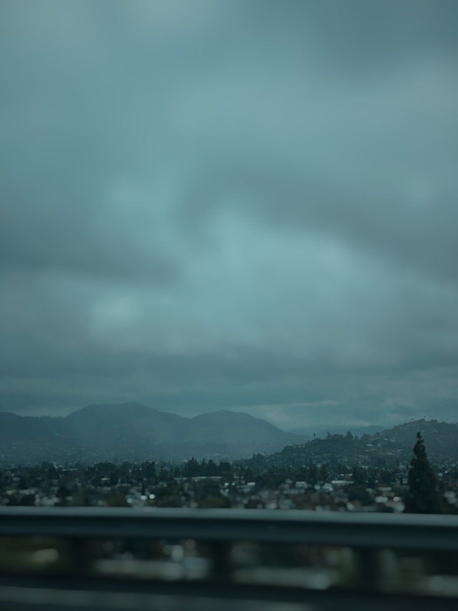 jays_stills's tweet photo. like the palm tree , stay strong in the storm

#vsco #vscofilter #photo #photograghy #photographer #photooftheday #art #landscape #travel https://t.co/DL0faGRBhg