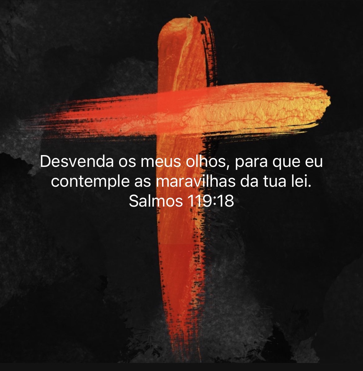 BPDIVINOSILVA's tweet photo. https://t.co/FEaRpMMmhK
