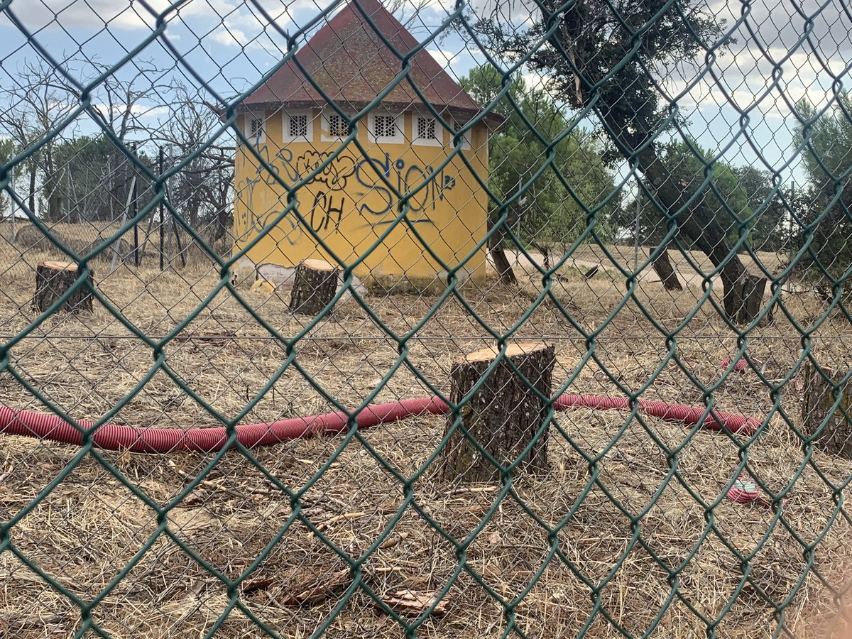 elmontecilloLR's tweet photo. @Ayto_Las_Rozas @jdelauz @LasRozasNext @Rozasjoven @LasRozaSocial @CulturaLasRozas @Rozasdeporte @bibliotecarozas @JLSani74 @davidsantosb @GustavoRico12 Se os han caído estas fotos, en plena Dehesa de Navalcarbon. https://t.co/wYTtrrnHc4
