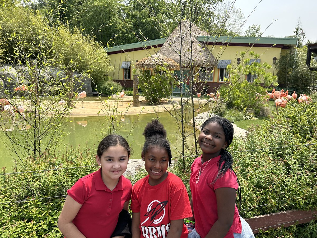 Amber LoCascio (@misslocascio) on Twitter photo We had such a fun time visiting the animals at the <a href="/TurtleBackZoo/">Turtle Back Zoo</a> ! ๐ฆ๐ฆ๐ข<a href="/RBMSadranovitz/">John Adranovitz</a> <a href="/rbmsROCKETS/">Red Bank Middle</a> We had such a fun time visiting the animals at the <a href="/TurtleBackZoo/">Turtle Back Zoo</a> ! ๐ฆ๐ฆ๐ข<a href="/RBMSadranovitz/">John Adranovitz</a> <a href="/rbmsROCKETS/">Red Bank Middle</a>