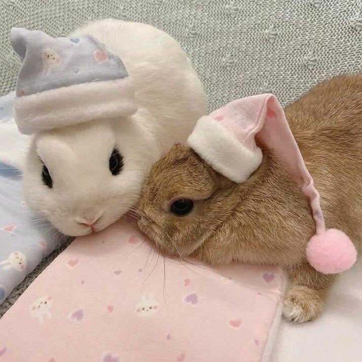 BUSCANDO ADM1NS📌 tweet media