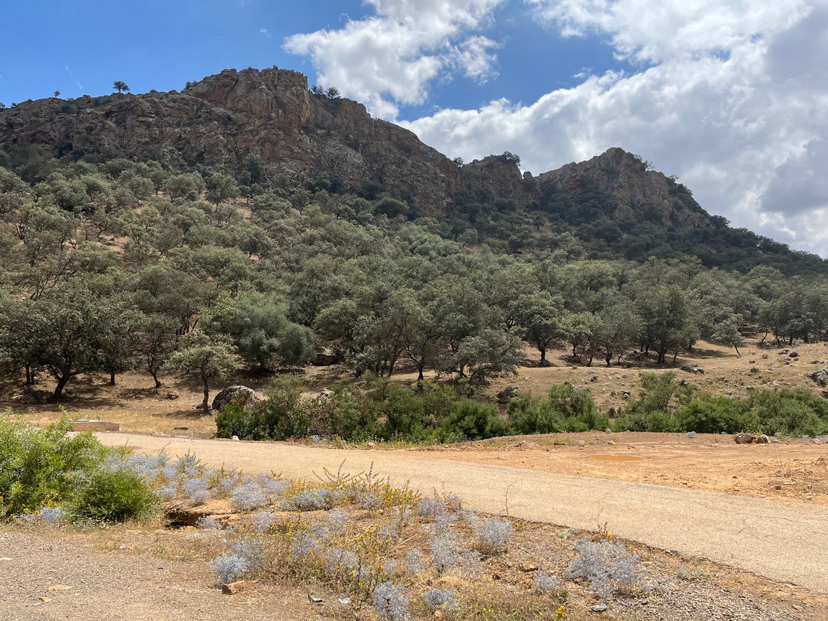 John Joseph Dieck tweet media