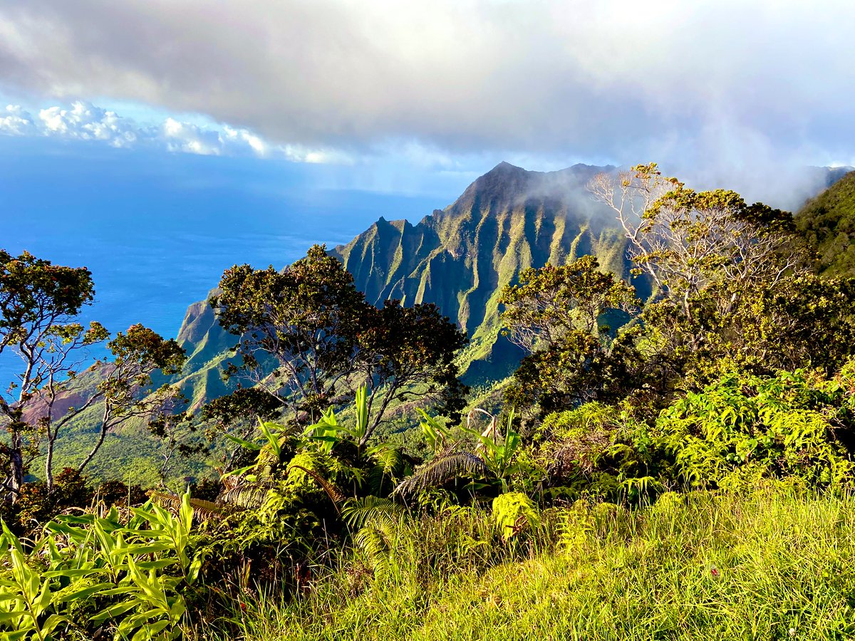 HEXTRAVELS2021's tweet photo. DAY 51: #100daysofhapiness
Exploring the islands is the place I go to get centered, the beauty surrounding us the views are priceless ππ feeling grateful π₯°ππ
#PLS #PLSX #HEX #INC #islandgirl #napalicoast #jurassicpark #traveling #HEXTRAVELS https://t.co/fw9QxDE7m3