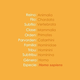 ZooAlumni's tweet photo. @ZooOUcup Los humanos, pertenecemos a los cordados debido a una serie de características anatómicas y filogenéticas.
La principal característica que define a los #Chordados y nos incluye como humanos es la presencia de una estructura llamada notocorda en alguna etapa de nuestro desarrollo. https://t.co/0zjatMH9pG