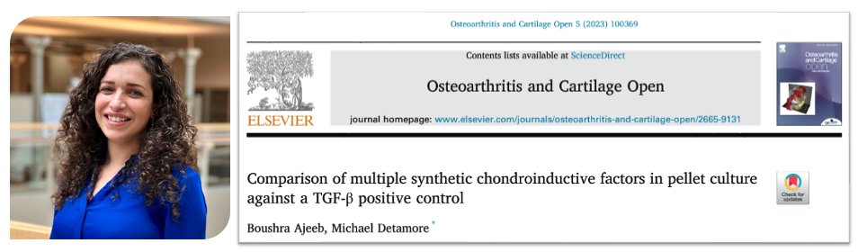 📰Check out our latest work in <a href="/OAC_Open/">Osteoarthritis and Cartilage Open</a> by Ph.D. candidate, Boushra Ajeeb! 

She compared multiple synthetic chondroinductive peptides, compounds, and combinations against TGF-β3 using human BMSCs in pellet culture.
👉doi.org/10.1016/j.ocar…

@BoushraAj <a href="/sbme_ou/">OU SBME</a> <a href="/OUResearch/">University of Oklahoma Research</a>