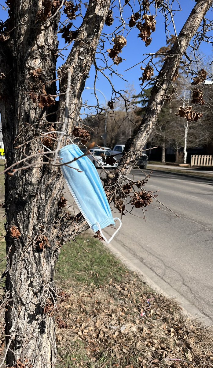 yyccrime's tweet photo. The #Liberal/#NDP Team are the most hardest on our #planet. #VoteSmith to clean up #Alberta &amp; #savetheplanet #PickItUp #Pollution #MaskPollution @seashepherd #Oceans #Rivers Thank you 🧢🌎 https://t.co/iywcqZEe4p