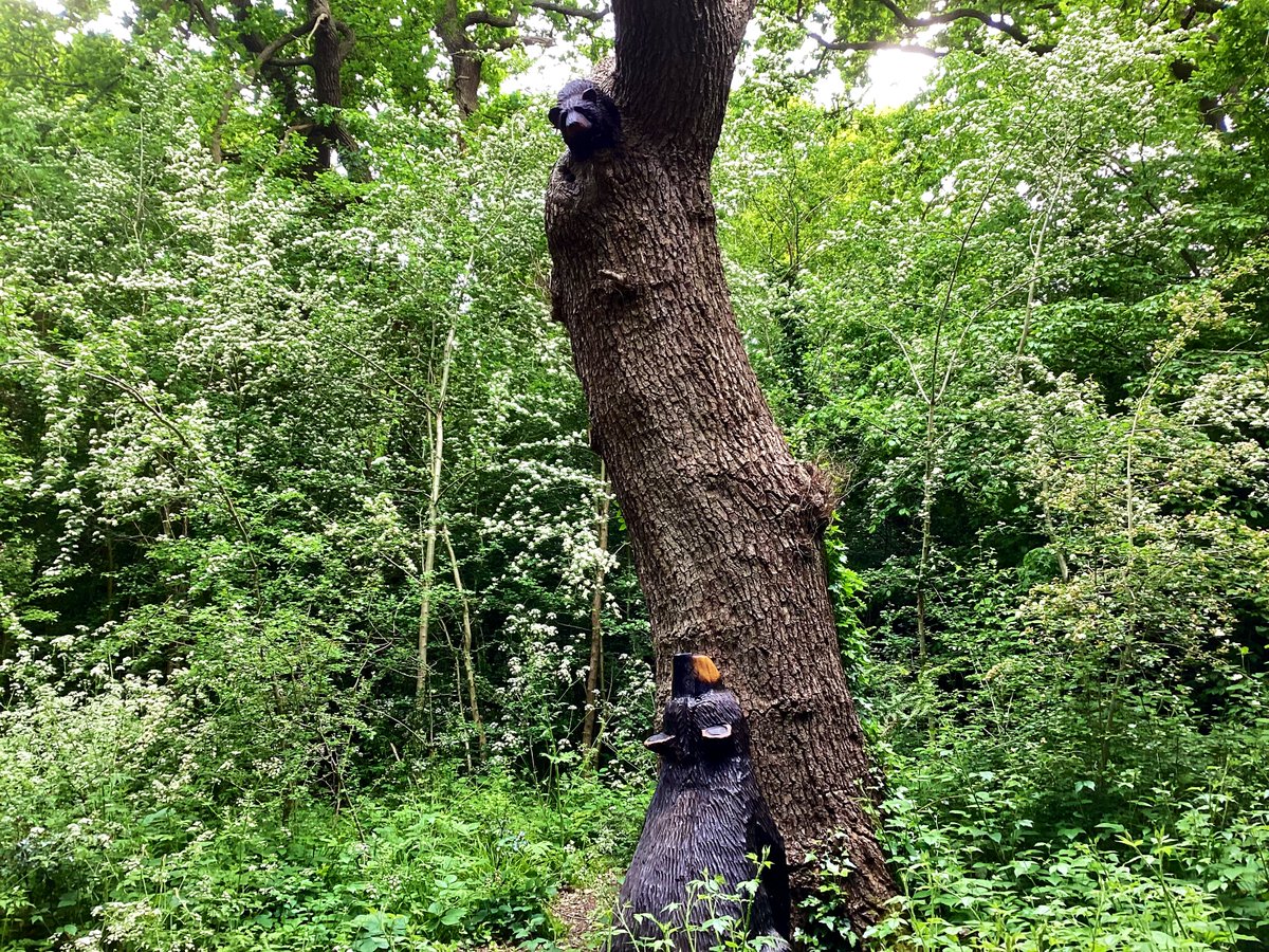 Barbara Fowlds on Twitter "Mother and baby bear on the Chislehurst Bear Trail, spotted today in