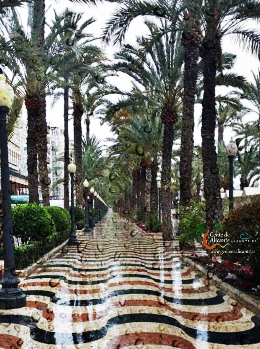 Buenas noches #GentedeAlicante ☔🌧️😍🌴nos despedimos de éste martes bajo la tan necesaria lluvia con ésta preciosa imagen desde la #ExplanadadeEspaña. 
Bona Nit Familia! 🥰🤗
#Alicante #LaMillorTerretadelMón #España #CostaBlanca #lanuvees #EAlicantinas #enalicante #AlertaNaranja