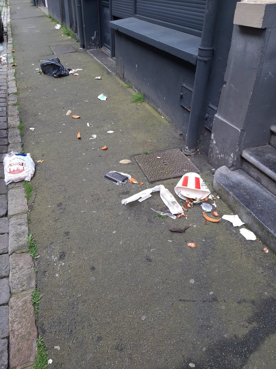 DechetsLille's tweet photo. Bon retour au travail le lundi quartier Masséna 😡 Ça m'étonnerait que ces poubelles soient tombées elles-mêmes vu le poids qu'elles contenaient ? À quand la verbalisation des délinquants du cadre de vie et de l'environnement via la vidéosurveillance ?  @prefet59 @MartineAubry https://t.co/DrhqnJXsIw