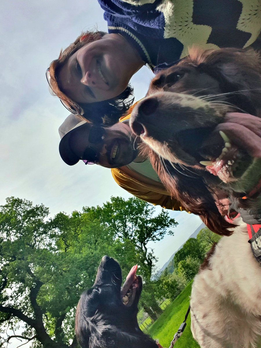 Ever feel like there's too much dog...