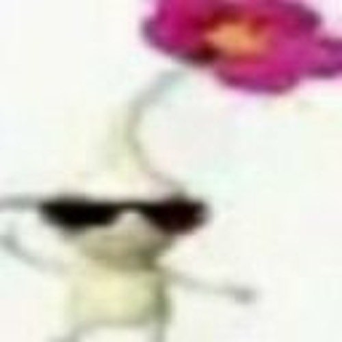 Inkfish 🍉🇵🇸 tweet media