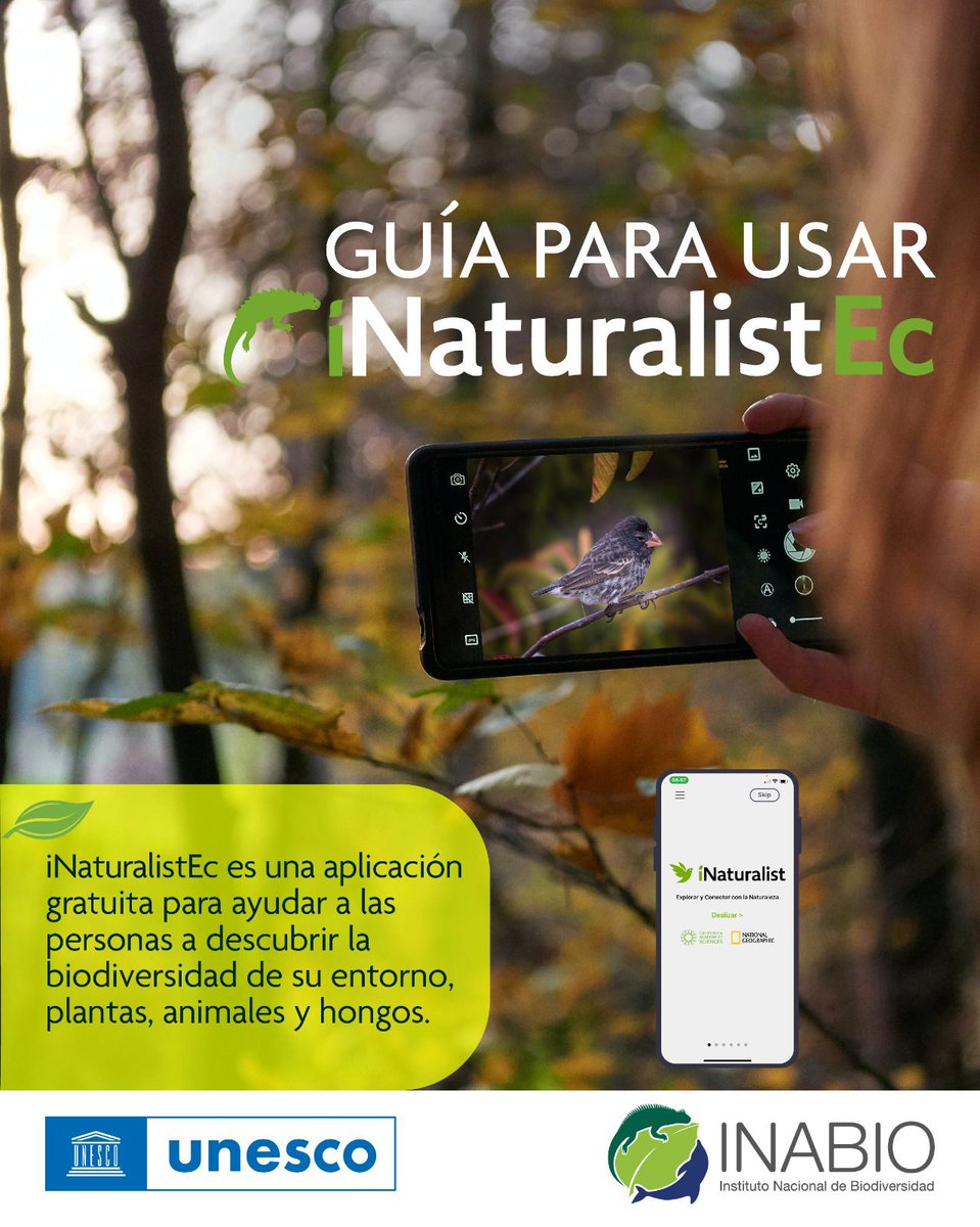 🌎🇪🇨 #DíaDeLaBiodiversidad. Hoy es la oportunidad para valorar la riqueza de #biodiversidad que tenemos en las #ReservasDeBiosfera.

📲Descárgate #iNaturalistEc y participa en esta iniciativa de #CienciaCiudadana.

¡Síguenos en redes sociales para conocer más detalles!