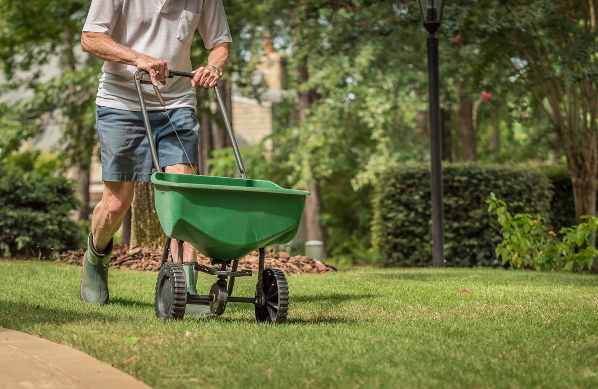 ApplPartsPros's tweet image. 🌿🌼 Want a beautiful lawn without the hassle? We've got you covered! Check out this ultimate guide to effortless lawn care: appliancepartspros.com/b/lawn-care-ma…. #LawnCareMadeEasy #GreenThumb #AppliancePartsPros