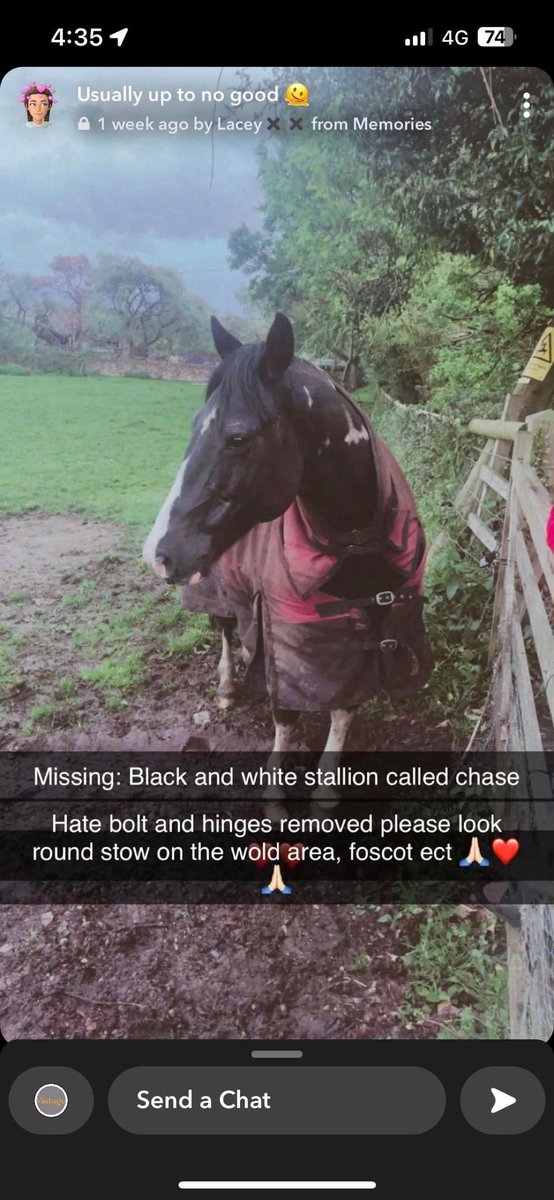 rosieDoc2's tweet image. Unfortunately between 2/3pm our #horse was belive to have been #taken from our #field looks like some1 has taken the gate off hinges to get him.21/5
We are struggling to believe that they managed to get him into there horse box as he isnt the best to handle.
#chipping #norton