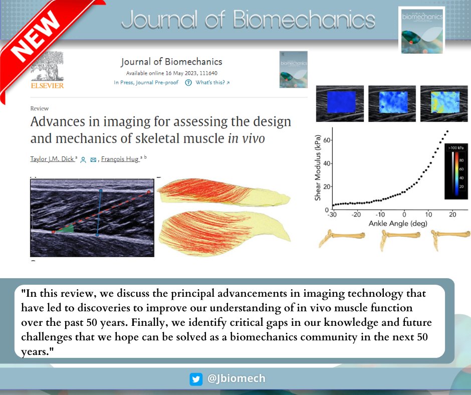 Skeletal muscle, the powerhouse of locomotion, holds intriguing mysteries. This exciting review in J Biomech highlights advancements in imaging technology for a better understanding of in vivo muscle function!

#biomechanics
#journalofbiomechanics

doi.org/10.1016/j.jbio…