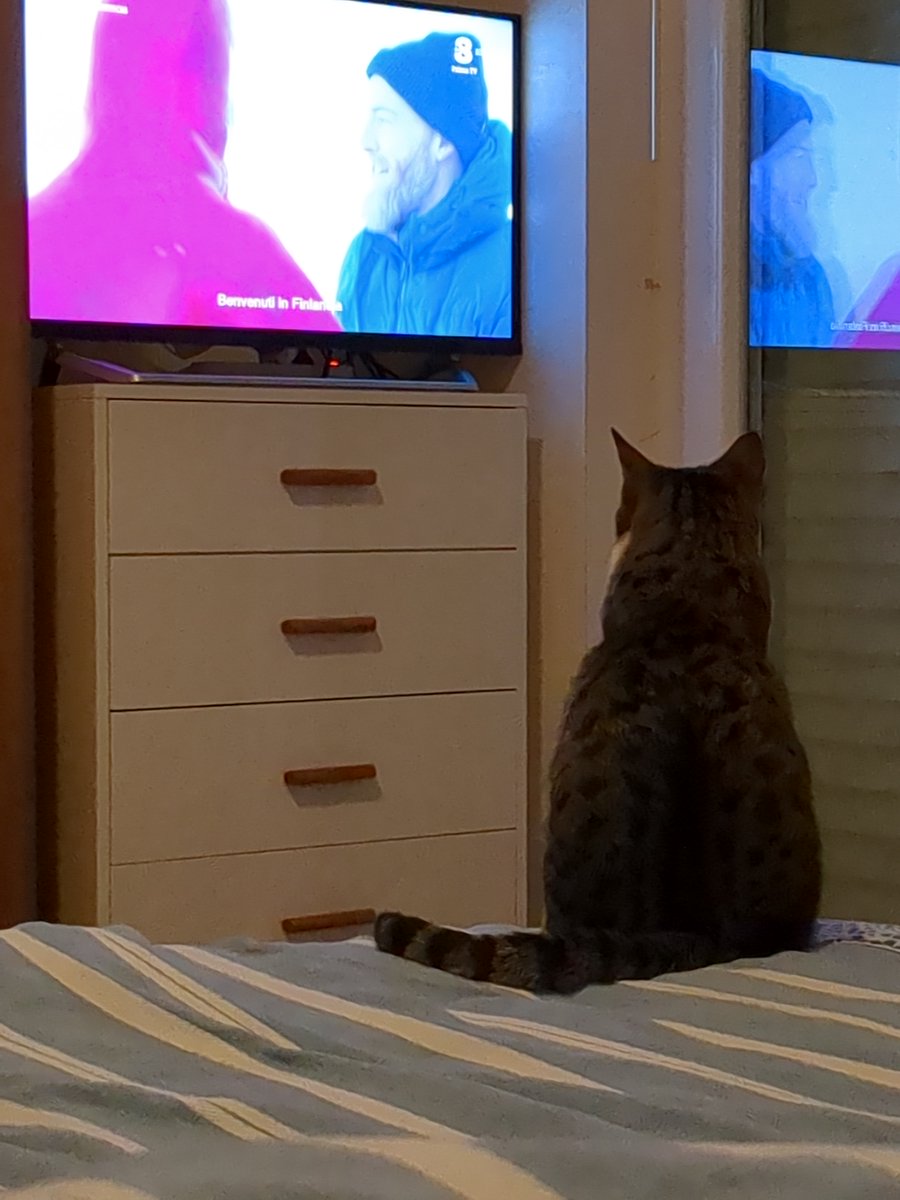 lavaligiainviaggio tweet media