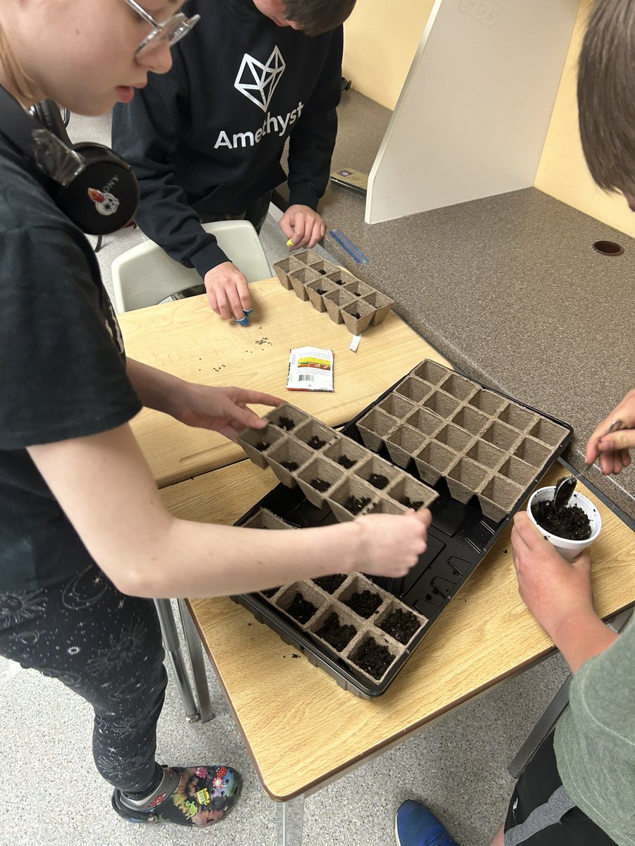 Patricia Thompson tweet media