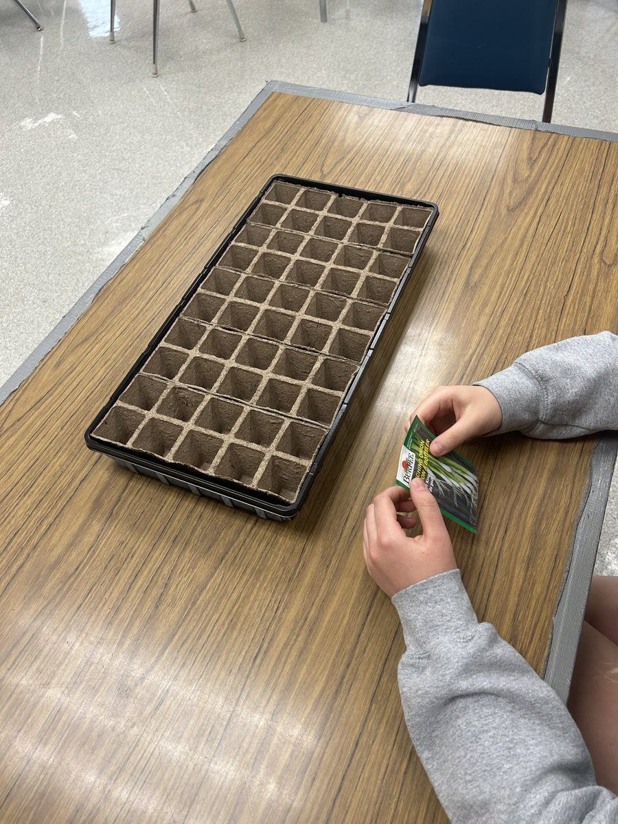 Patricia Thompson tweet media