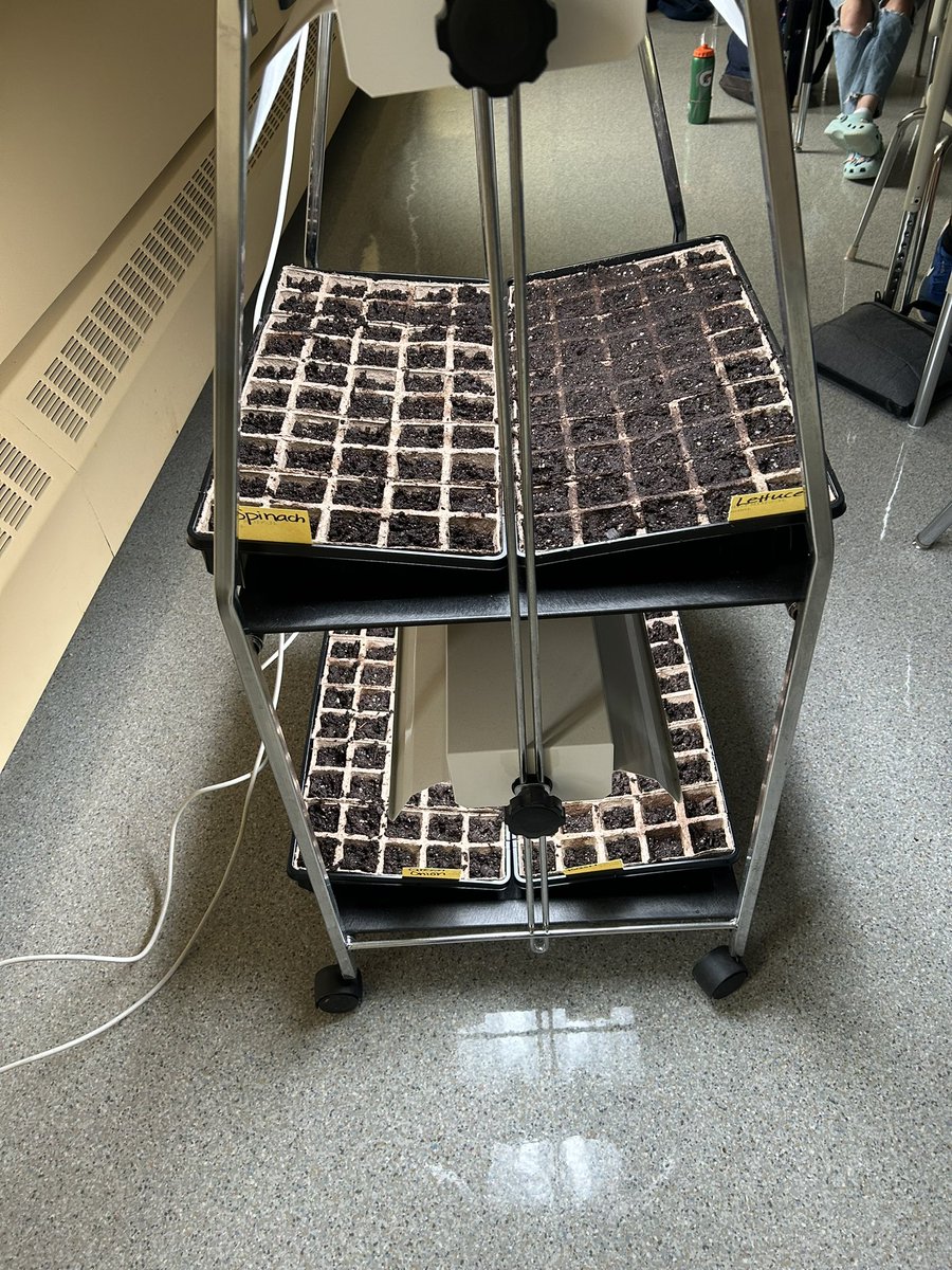 We’re learning about local, global and sustainable food. The Ss started herbs and vegetables today! 🌱🫛🪴

<a href="/AmethystSchool/">AmethystPDS</a> <a href="/PC_Charity/">PC Children's Charity</a> 

#kidscookandgrow #localfood