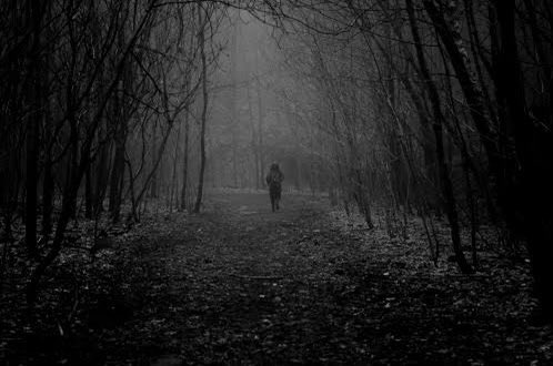 I’m aware of evil plans aimed at me. Well, I’ve made my humble contribution. I hope this country traces its soul. I hope a time comes when we ask ourselves: Is this the best we can be? I leave now, but: SILENCE ALL ALARM BIRDS, SNAKES WILL COME IN SILENCE.

It was a pleasure.