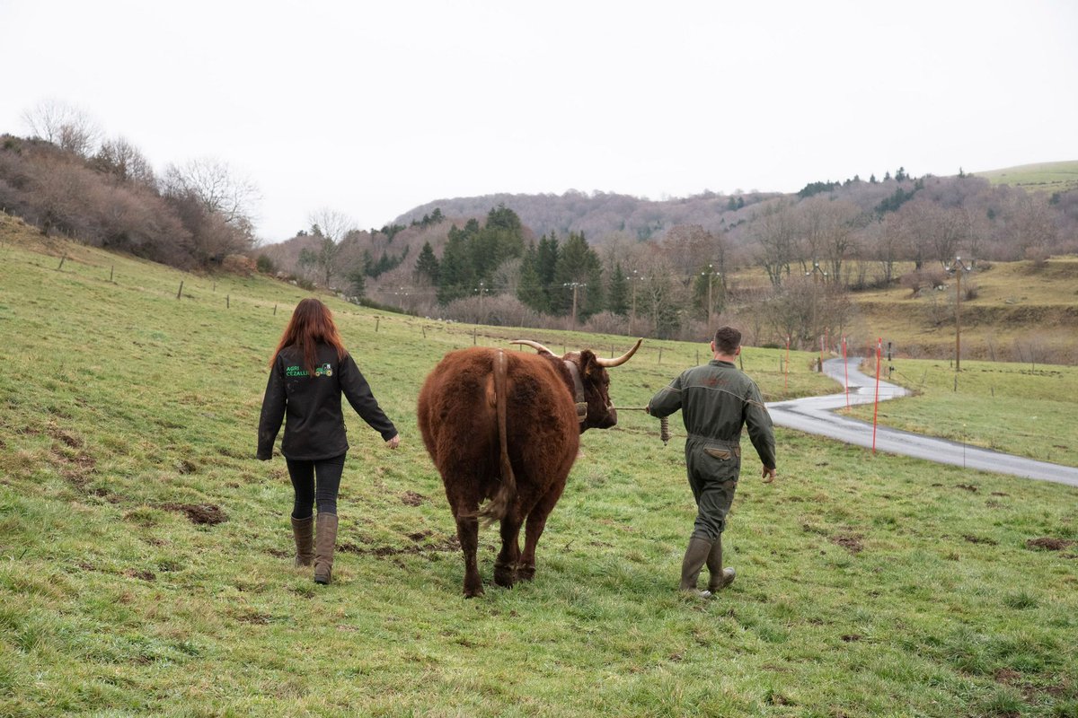 Hugo Clément on Twitter "Le ministre MFesneau reprend ici un