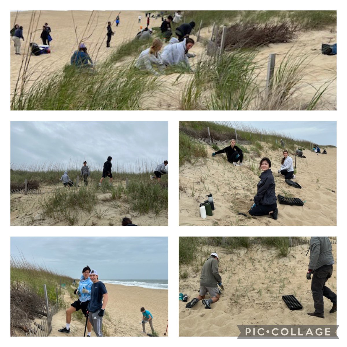 Service learning took root in classroom lessons and developed into a community project assisting the US Navy protect their beaches by planting dune grass. #FutureReady <a href="/KellamHigh/">Kellam High School</a> <a href="/vbschools/">VBSchools</a>