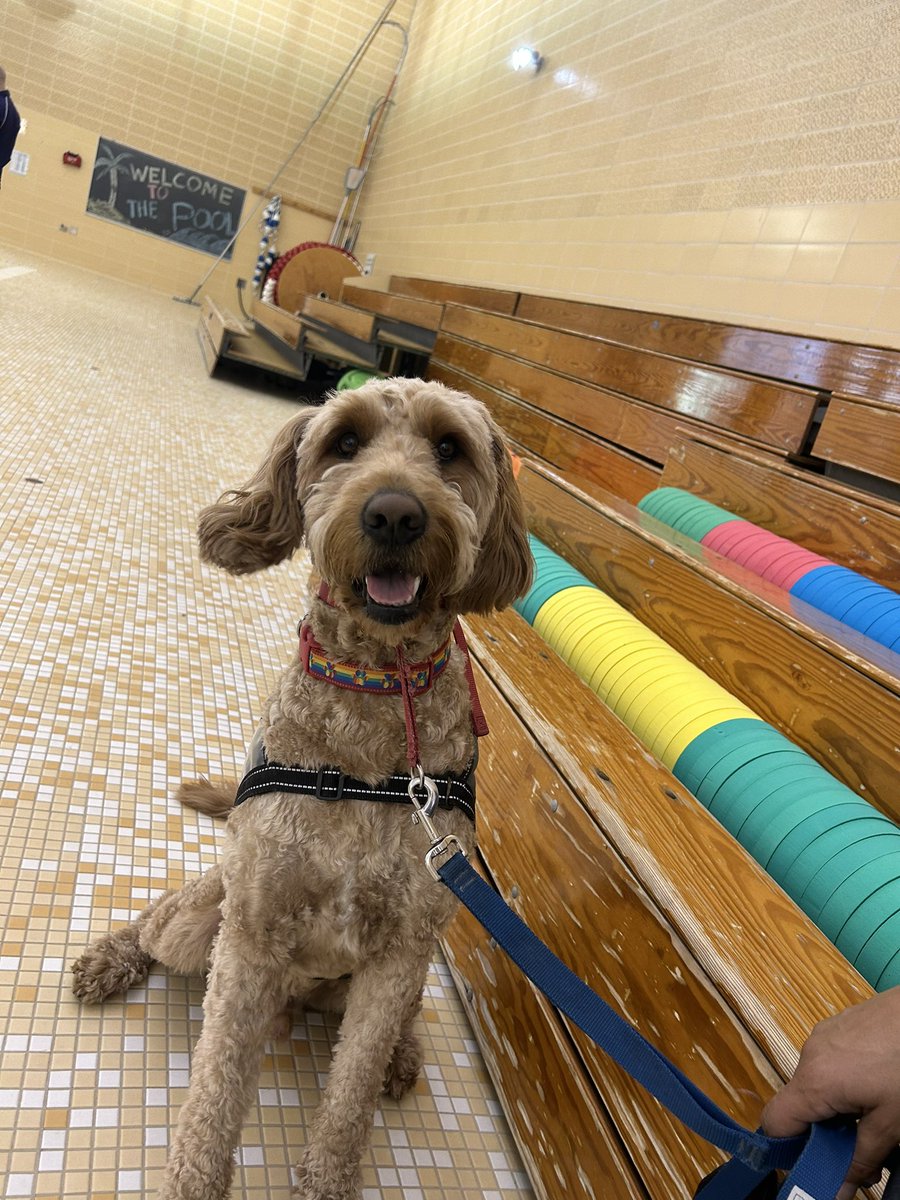 Patricia Thompson tweet media