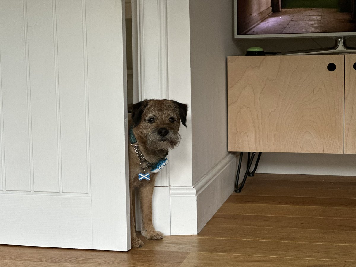 I like to peep round doors 😜👀 #btposse