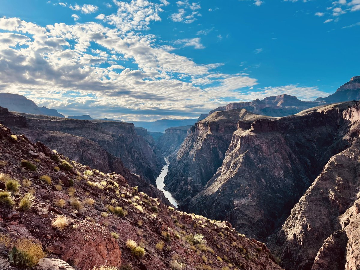 J. Wilson tweet media