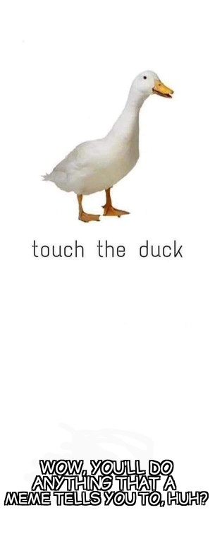 #Duck