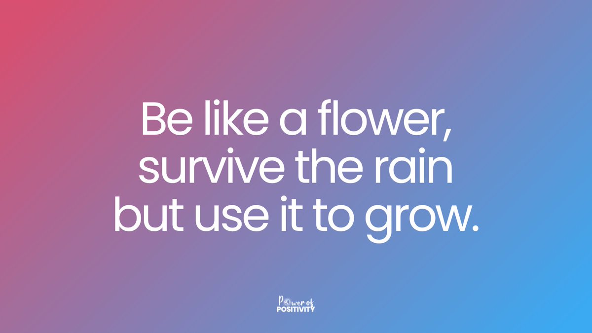 Be like a flower, survive the rain but use it to grow.