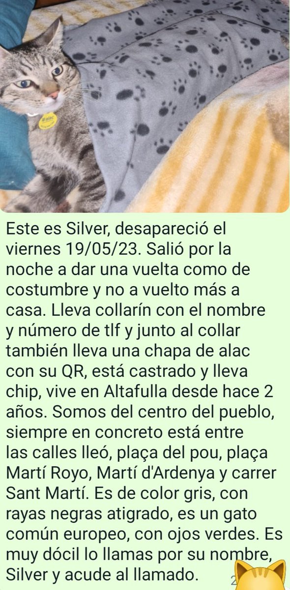Si alguien lo ve por Altafulla o escucha maullidos de gato atrapado en algún lugar, que me lo comunique porfavor. Gracias de antemano.