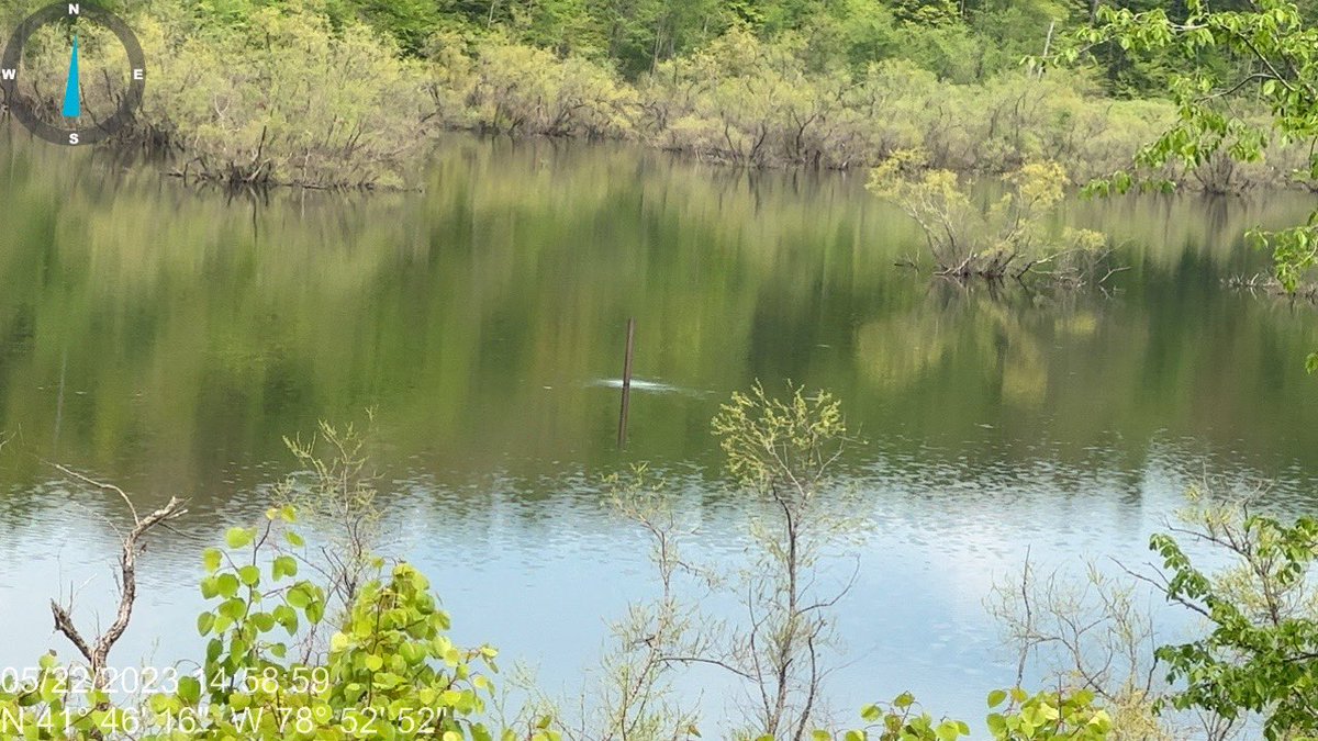 Iamfluid's tweet photo. Going to inspect this #methane leaking well today in Allegheny National Forrest. #OpticalGasImaging #FLIR. Thank you to the kind resident who took us on his boat to get there! @PSRPennsylvania @SaveOurStreams https://t.co/fcqAyulmtj