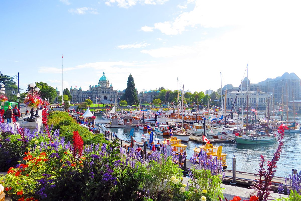 📢PLEASE RT AND SHARE WIDELY📢
UVic Chem @chemistryatuvic posting for an Assistant Professor of Chemistry (experimental organic chem, broadly defined) is now live! 
uvic.ca/faculty-staff/…
Victoria BC is a phenomenal place to do science - apply today!
#chemjobs #facultychemjobs