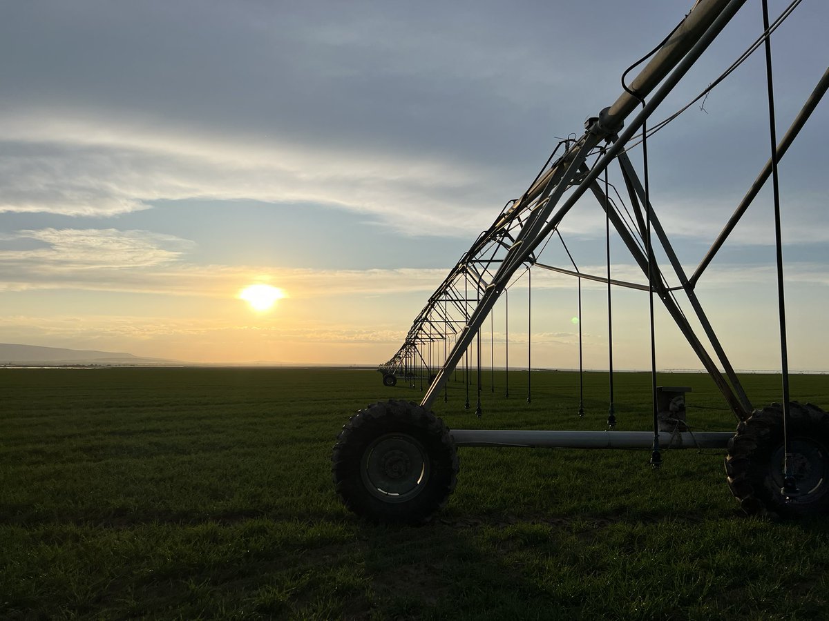 lucaspratling's tweet image. Cheers, Barely is looking good! @MolsonCoors #coors