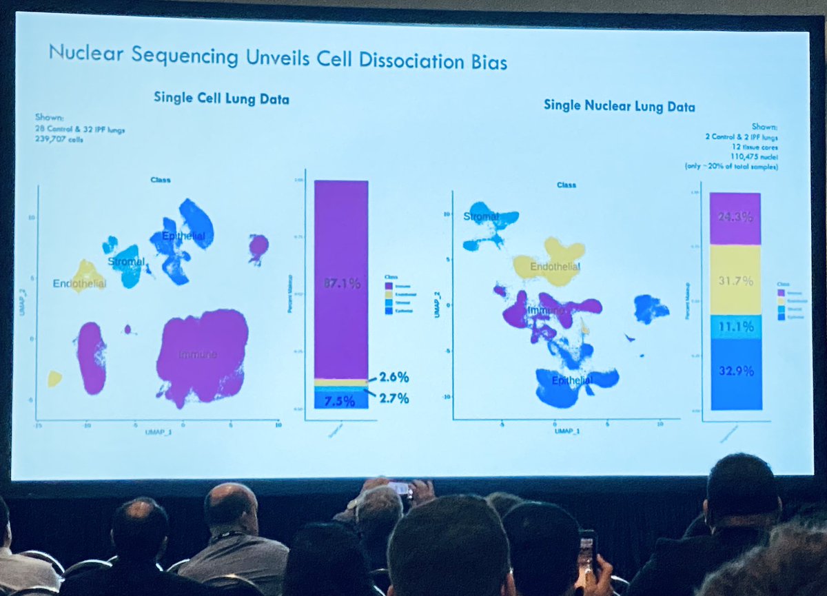 Dr. Naftali Kaminski delivers an outstanding lecture:

The Multi-Omic Universe. Integrating Datasets to Better Understand & #CurePF.

✔️Shows that nuclear sequencing reveals cell dissociation bias

✔️Surface density correlates with decline in AT-I & AT-II cells. 

🫁
 #ATS2023
