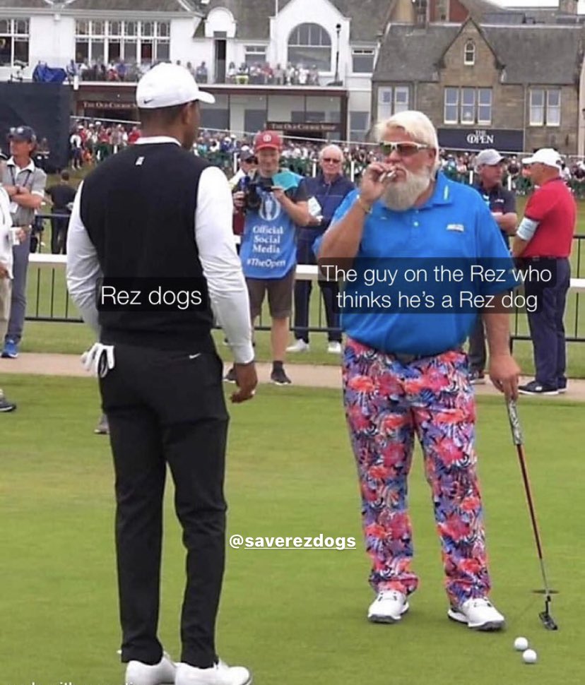 saverezdogs tweet media